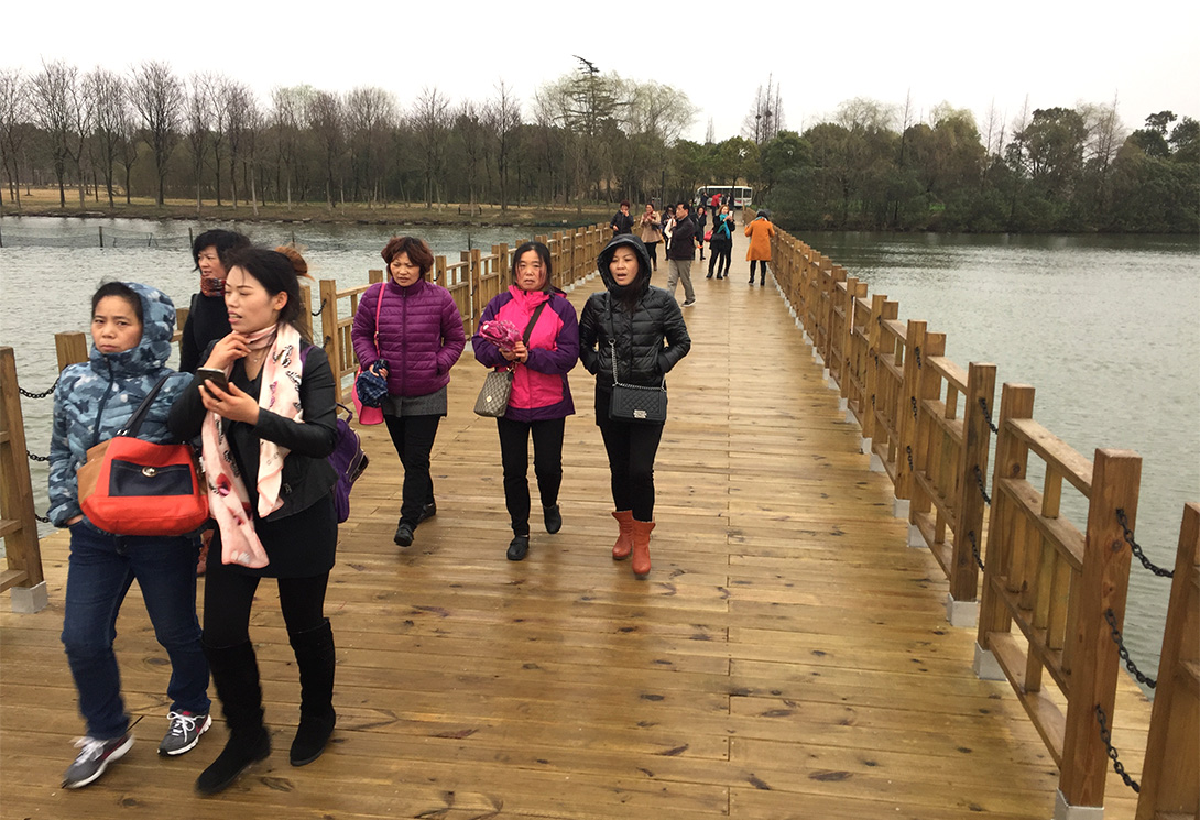 上海崇明區明珠湖公園500米大型浮橋