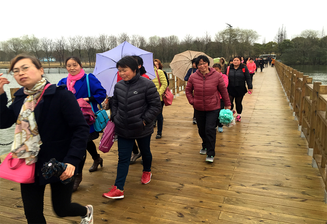 上海崇明區明珠湖公園500米大型浮橋