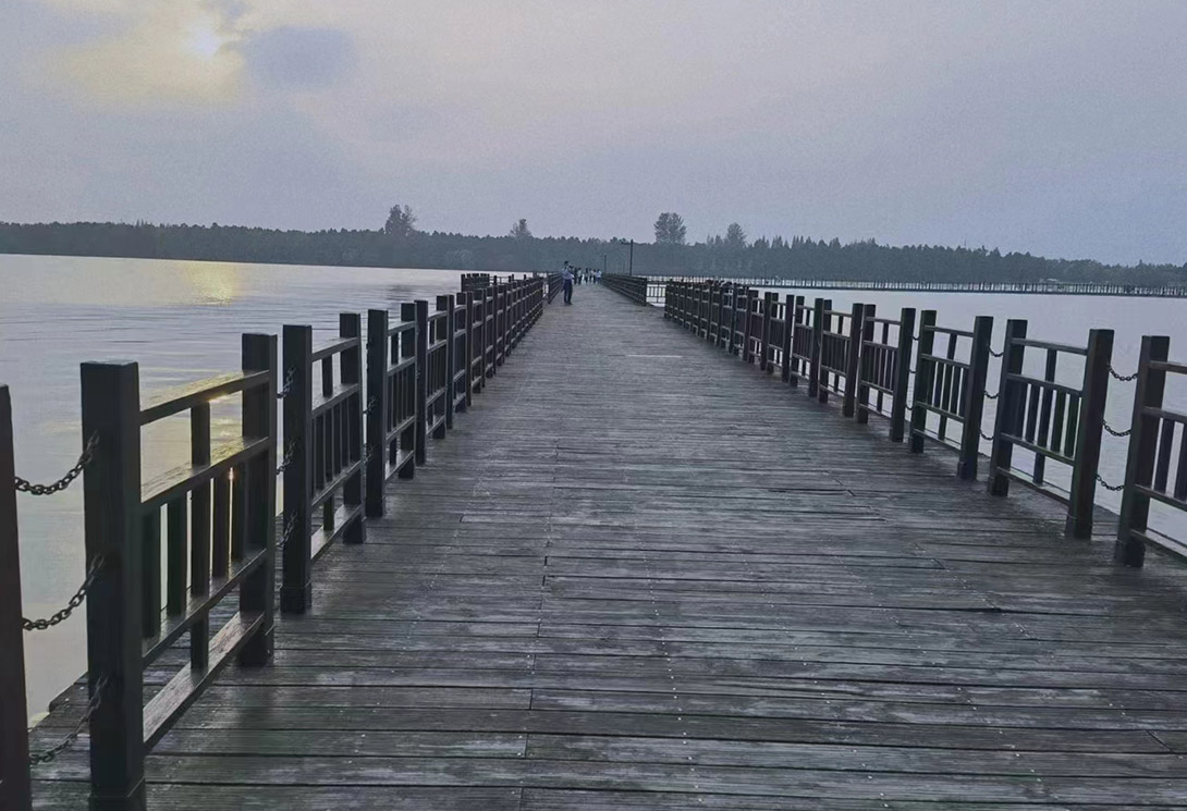 上海崇明區明珠湖公園500米大型浮橋