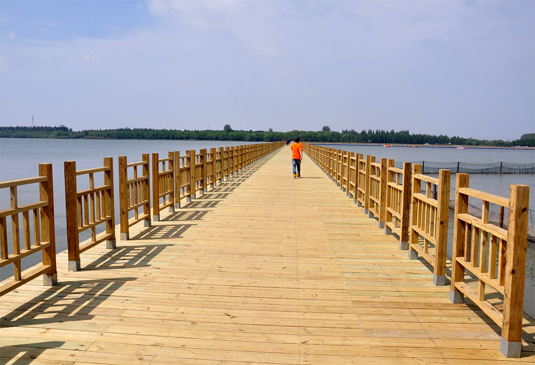 上海崇明區明珠湖公園500米大型浮橋
