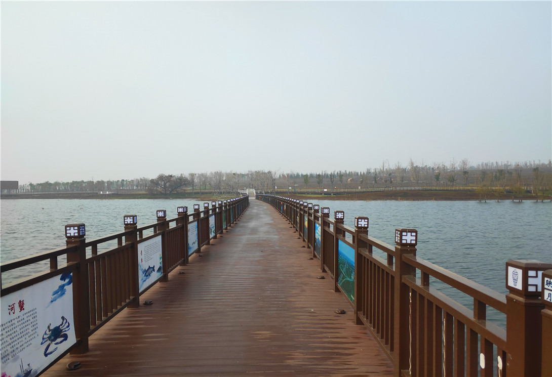河北磁縣采煤塌陷區(qū)文化創(chuàng)意浮橋