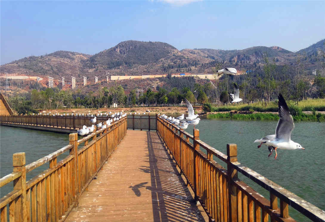 云南玉溪星云湖拱形水上浮橋