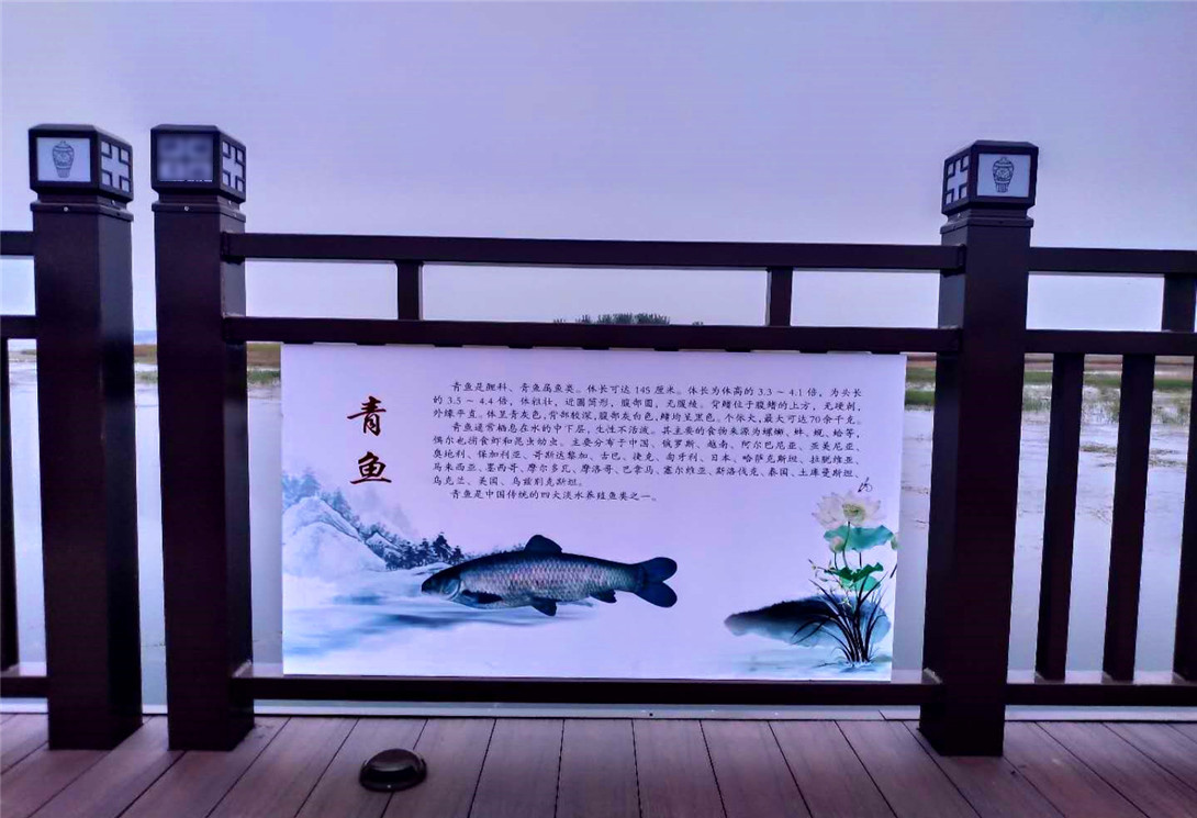 河北磁縣采煤塌陷區(qū)文化創(chuàng)意浮橋