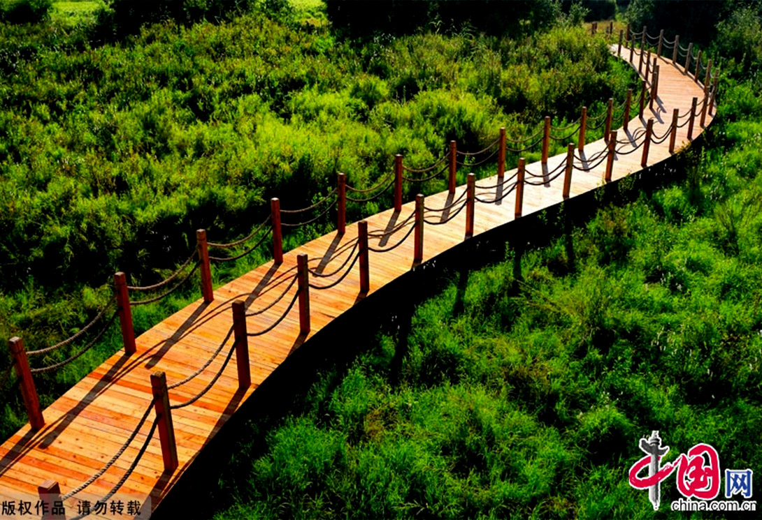 黑龍江撫遠黑瞎子島濕地公園（中俄交界）