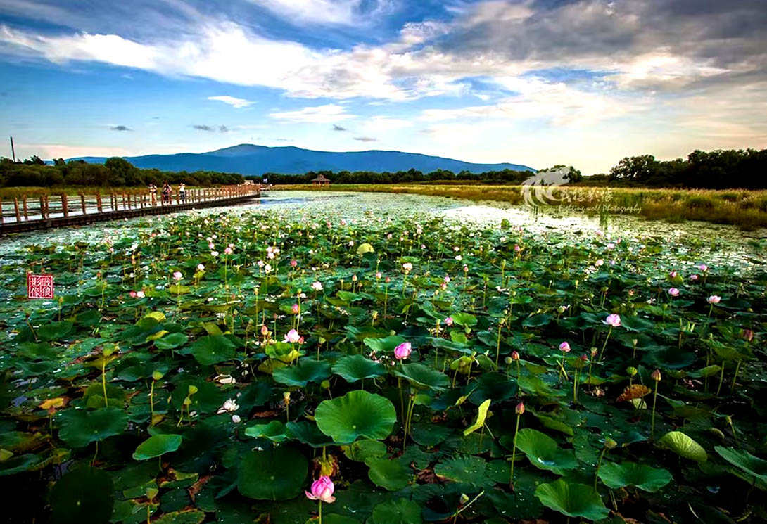 黑龍江撫遠黑瞎子島濕地公園（中俄交界）