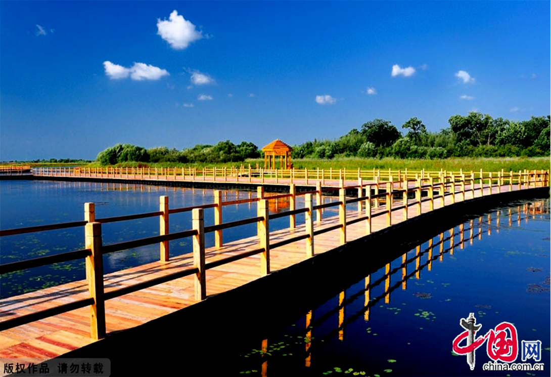 黑龍江撫遠黑瞎子島濕地公園（中俄交界）