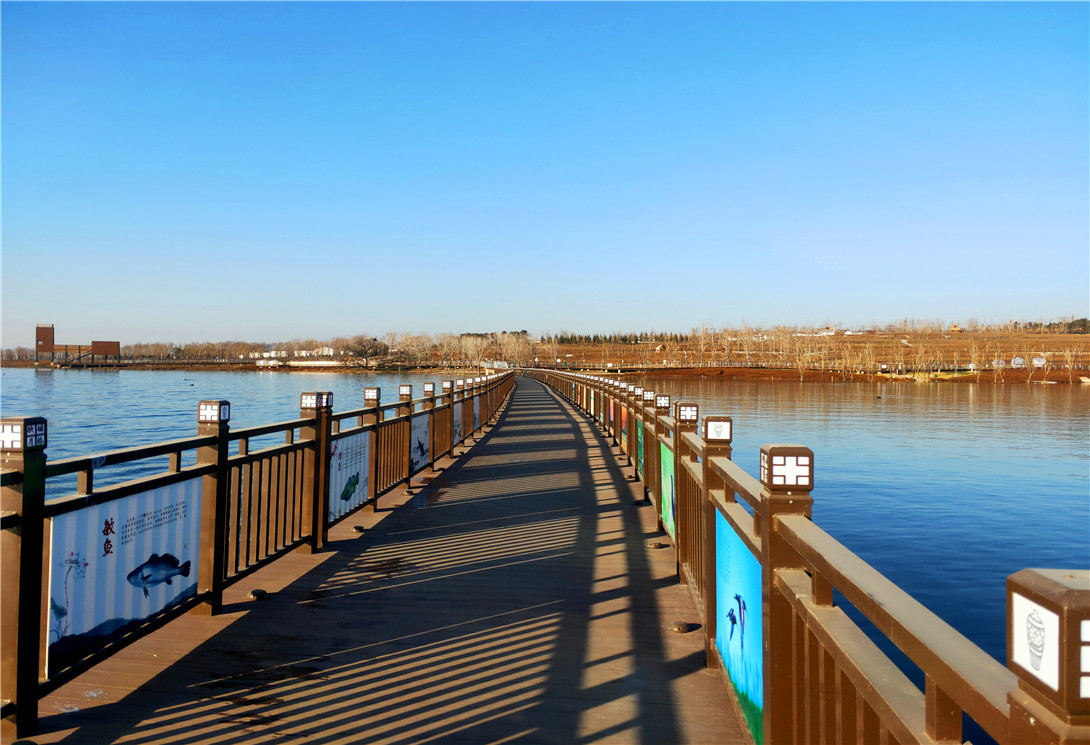 河北磁縣采煤塌陷區(qū)文化創(chuàng)意浮橋