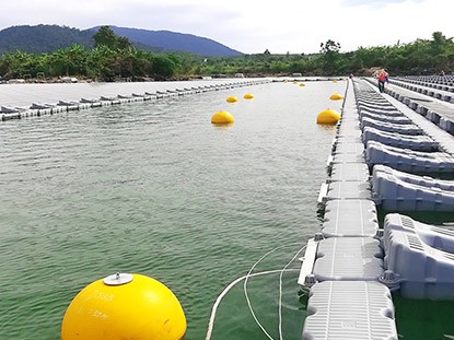 越南平順省 200MW 大型水上漂浮光伏電站（當(dāng)時(shí)世界單體最大、東南亞首家）