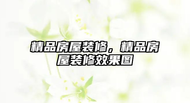 精品房屋裝修，精品房屋裝修效果圖