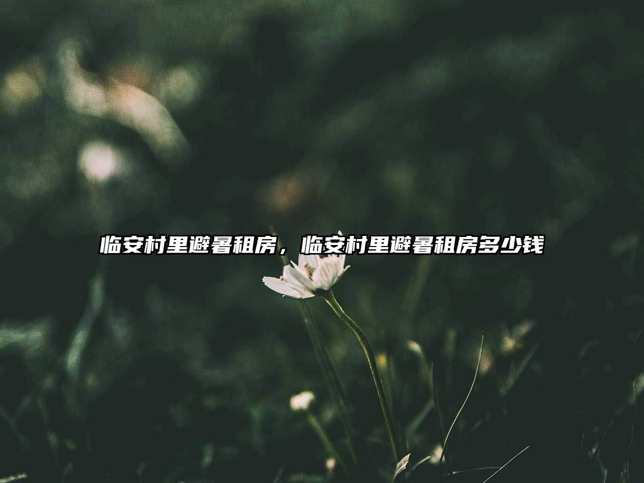 臨安村里避暑租房，臨安村里避暑租房多少錢(qián)